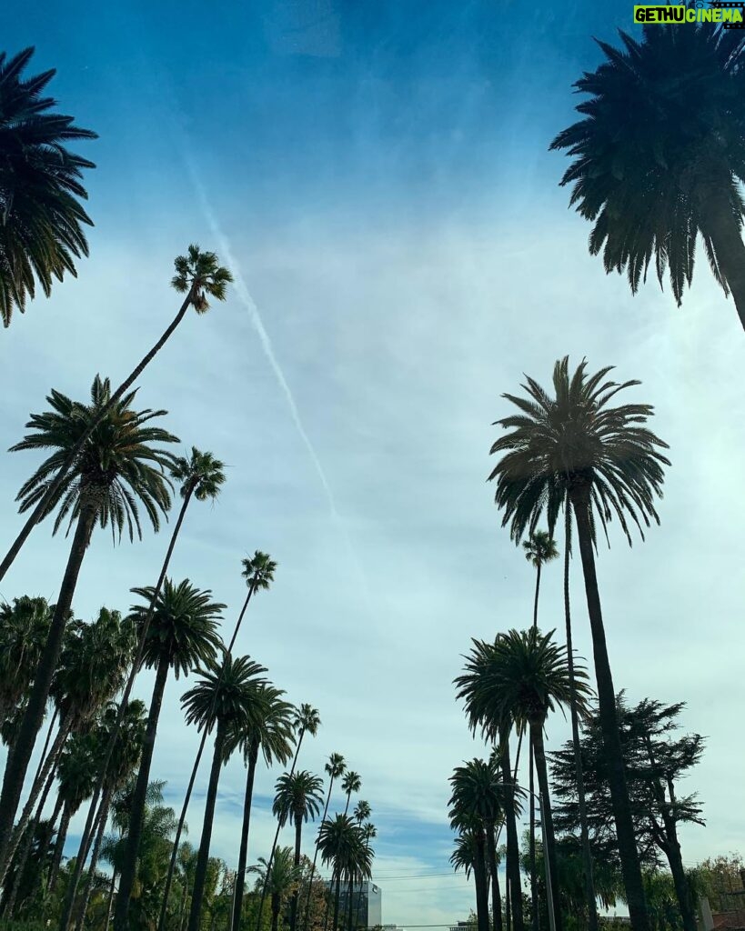 Lisa Haydon Instagram - 🌴 Los Angeles, California