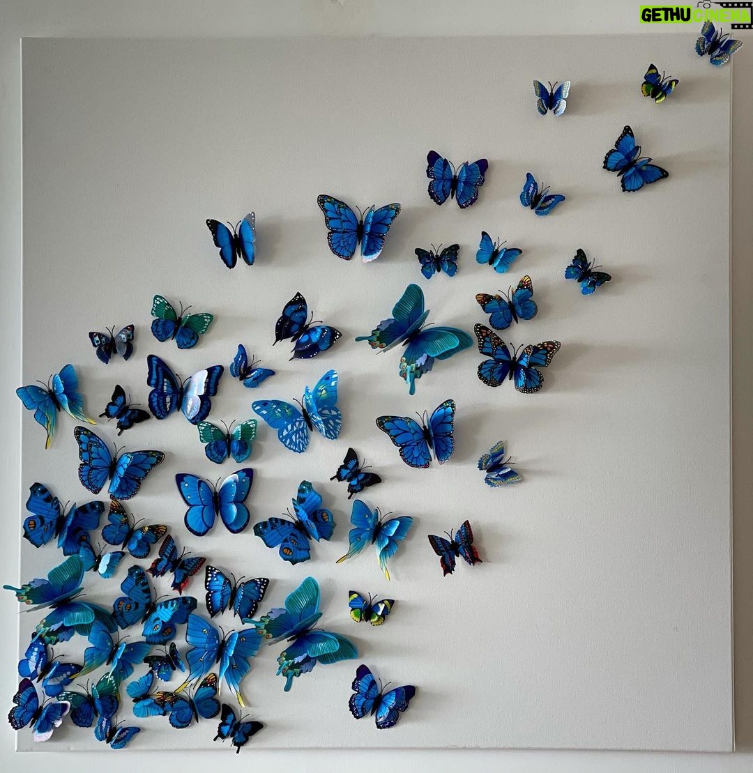 Lisa Haydon Instagram - Zack made this artwork this morning with butterflies we bought on Amazon with stickers at the back.