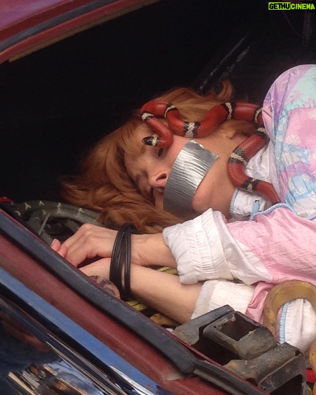 Lisa Kudrow Instagram - One real snake. The take before that the trunk hatch broke and wouldn’t open (with me in it). Rough day. #fbf #roughday
