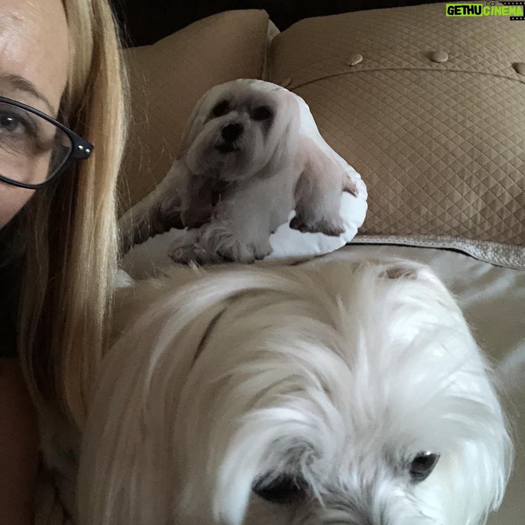 Lisa Kudrow Instagram - Me, her and a creeepy pillow of her. Always confused by it.