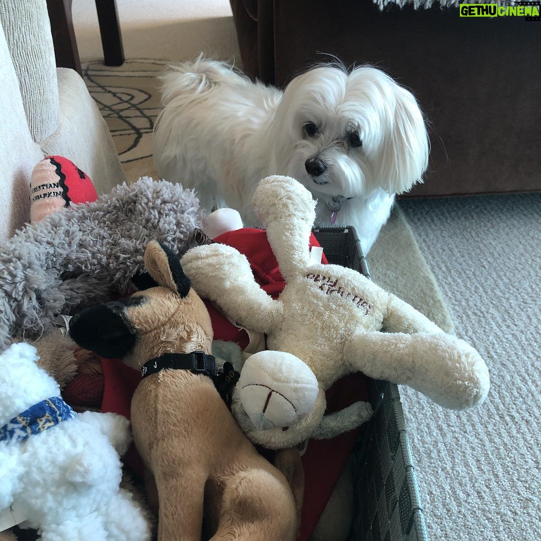 Lisa Kudrow Instagram - Too many choices makes it hard to decide.