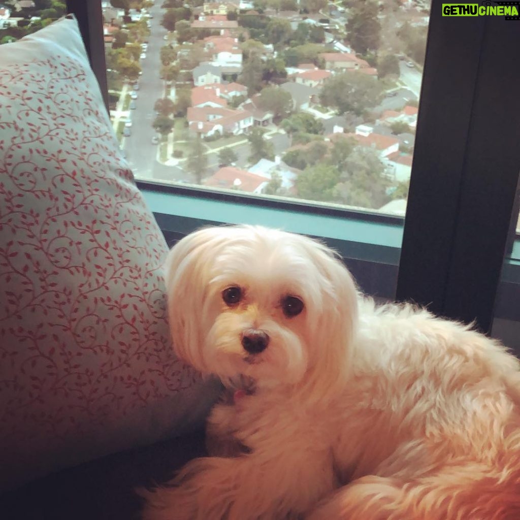 Lisa Kudrow Instagram - Window seat girl