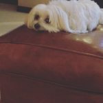 Lisa Kudrow Instagram – Most bored girl