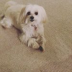 Lisa Kudrow Instagram – Cutest girl