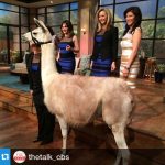 Lisa Kudrow Instagram - 🐪🐪🐪 @thetalk_cbs