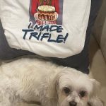 Lisa Kudrow Instagram – Here’s the second drop of the limited edition Cast Collection
This one highlights @friends Seasons 4 – 6
Available for a limited time only at represent.com/friends (link above in bio), never to be sold again.
Again again aga-