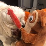 Lisa Kudrow Instagram - My lovely is a fan of Tchotchke from @housebrokenfox Tchotchke is getting nervous...