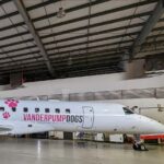 Lisa Vanderpump Instagram - Thank you so much @flyjsx for always being so generous to our @vanderpumpdogs Foundation and for this epic collaboration! The launch of your new plane, sporting our logo, helping to raise awareness for dog rescue, as well as donating to the Foundation for every dog that flies on JSX, is something I am thrilled to announce! Visit VeryVanderpump.com/woofwoof for more info on their donation! Thank you JSX!!!