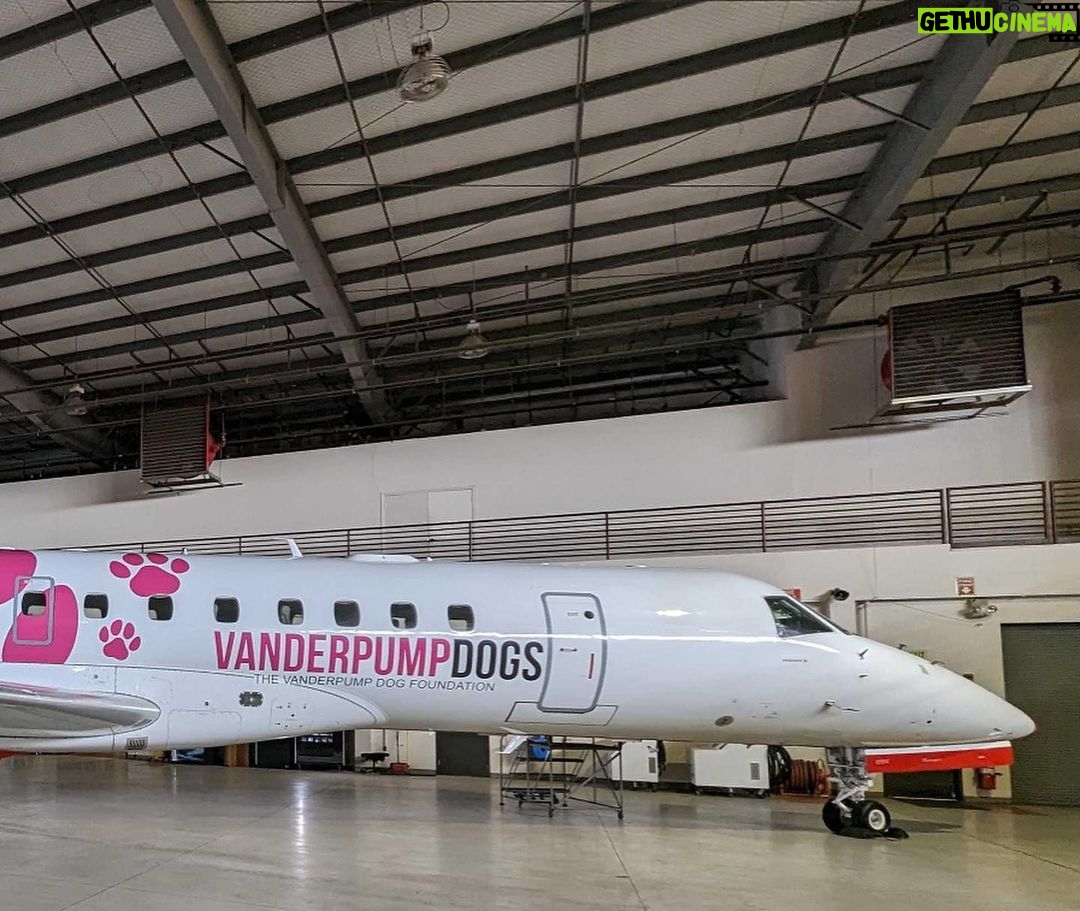 Lisa Vanderpump - 74.6K Likes - Thank you so much @flyjsx for always being so generous to our @vanderpumpdogs Foundation and for this epic collaboration! The launch of your new plane, sporting our logo, helping to raise awareness for dog rescue, as well as donating to the Foundation for every dog that flies on JSX, is something I am thrilled to announce! Visit VeryVanderpump.com/woofwoof for more info on their donation! Thank you JSX!!!