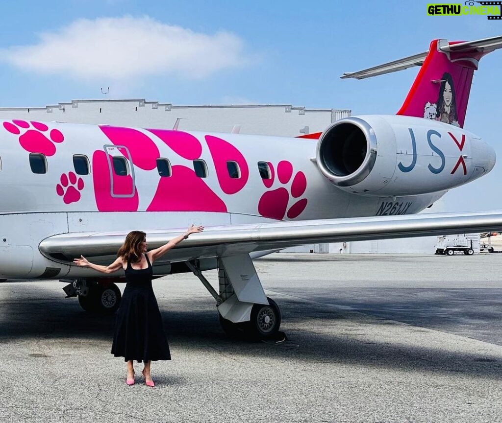 Lisa Vanderpump Instagram - Thank you so much @flyjsx for always being so generous to our @vanderpumpdogs Foundation and for this epic collaboration! The launch of your new plane, sporting our logo, helping to raise awareness for dog rescue, as well as donating to the Foundation for every dog that flies on JSX, is something I am thrilled to announce! Visit VeryVanderpump.com/woofwoof for more info on their donation! Thank you JSX!!!