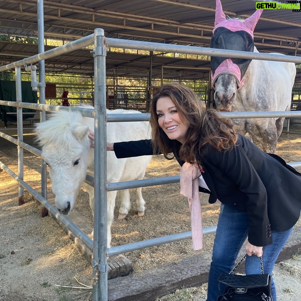 Lisa Vanderpump Instagram - Just absolutely love what the @thegentlebarn do, this rescue is a beautiful haven for these animals @officialchristina_applegate thank you for your kindness.