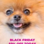 Lisa Vanderpump Instagram - OUR BLACK FRIDAY SALE @vanderpumpdogs IS HERE! Every purchase is non-profit and goes directly to our doggy rescue efforts, so you can shop and support our dogs at the same time! No promo code needed - it’s automatically applied at checkout for 50% off (excluding grocery & auction items) and, as a 501(c)(3) non-profit Foundation, all of the proceeds from your purchase are a huge help to furthering our rescue efforts. It’s a way to #ShopWithAPurpose while picking up some #Vanderpup merch for both your pooch & yourself! Visit VanderpumpDogs.org or click the link in my bio to check it out! THANK YOU!!! #VanderpumpDogs #Shop #Rescue 🐾