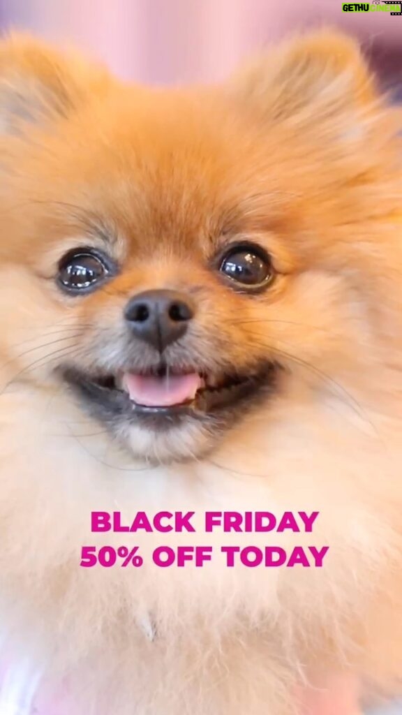 Lisa Vanderpump Instagram - OUR BLACK FRIDAY SALE @vanderpumpdogs IS HERE! Every purchase is non-profit and goes directly to our doggy rescue efforts, so you can shop and support our dogs at the same time! No promo code needed - it’s automatically applied at checkout for 50% off (excluding grocery & auction items) and, as a 501(c)(3) non-profit Foundation, all of the proceeds from your purchase are a huge help to furthering our rescue efforts. It’s a way to #ShopWithAPurpose while picking up some #Vanderpup merch for both your pooch & yourself! Visit VanderpumpDogs.org or click the link in my bio to check it out! THANK YOU!!! #VanderpumpDogs #Shop #Rescue 🐾