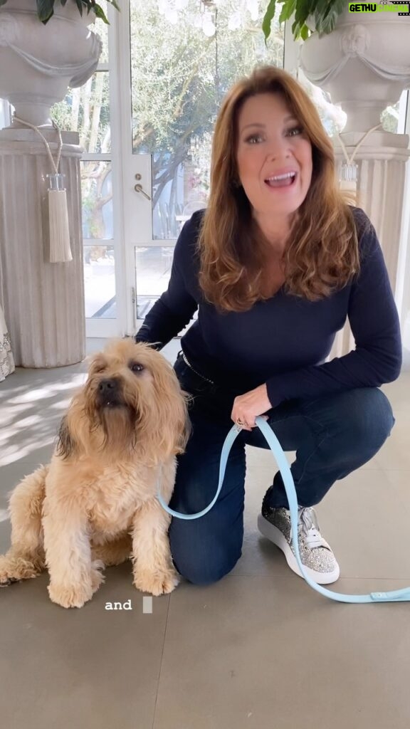 Lisa Vanderpump Instagram - This month is #PetCancerAwarenessMonth, and I’m joining my friends @NationwidePet in their 3rd annual virtual walk challenge with @AnimalCancerFoundation in effort to finding a cure and fight against pet cancer. Sign up and join us in this great cause by going to acfoundation.org #NationwidePartner #CurePetCancer