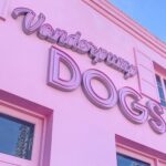 Lisa Vanderpump Instagram - I’m so honored to share that today marks the 6th Anniversary of The Vanderpump Dog Foundation’s Rescue Center on Third Street @vanderpumpdogs ! The amount of dogs that we have saved, rehabilitated and rehomed to loving families is something I will always be so proud of. Giggy was my biggest inspiration for starting our 501(c)(3) non-profit, and his legacy will live on in all of the lives we have been able to save. Thank you to our dedicated and selfless team; everyone who works and volunteers at our Rescue Center - you are the reason we’ve been able to do what we do. And thank you to everyone who has supported us and our Rescue Mission over the past six years! Without you, it wouldn’t be possible! Cheers to saving more dogs all over the world!