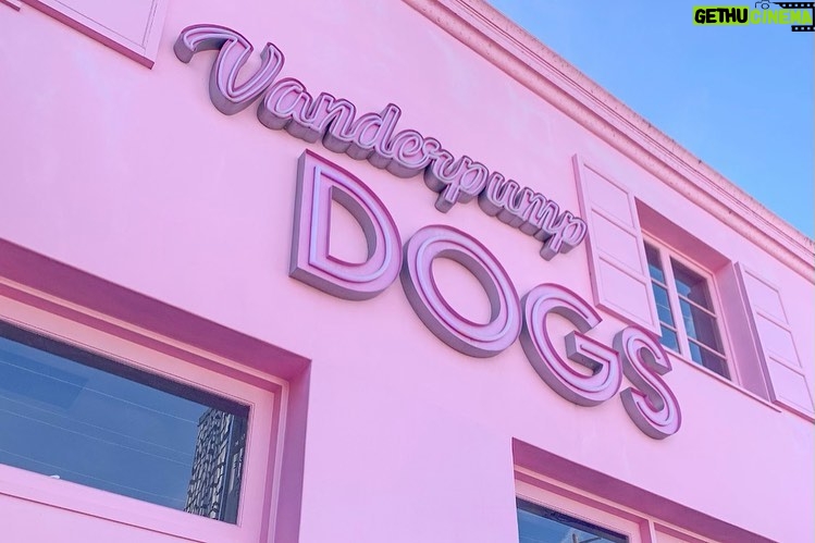 Lisa Vanderpump Instagram - I’m so honored to share that today marks the 6th Anniversary of The Vanderpump Dog Foundation’s Rescue Center on Third Street @vanderpumpdogs ! The amount of dogs that we have saved, rehabilitated and rehomed to loving families is something I will always be so proud of. Giggy was my biggest inspiration for starting our 501(c)(3) non-profit, and his legacy will live on in all of the lives we have been able to save. Thank you to our dedicated and selfless team; everyone who works and volunteers at our Rescue Center - you are the reason we’ve been able to do what we do. And thank you to everyone who has supported us and our Rescue Mission over the past six years! Without you, it wouldn’t be possible! Cheers to saving more dogs all over the world!
