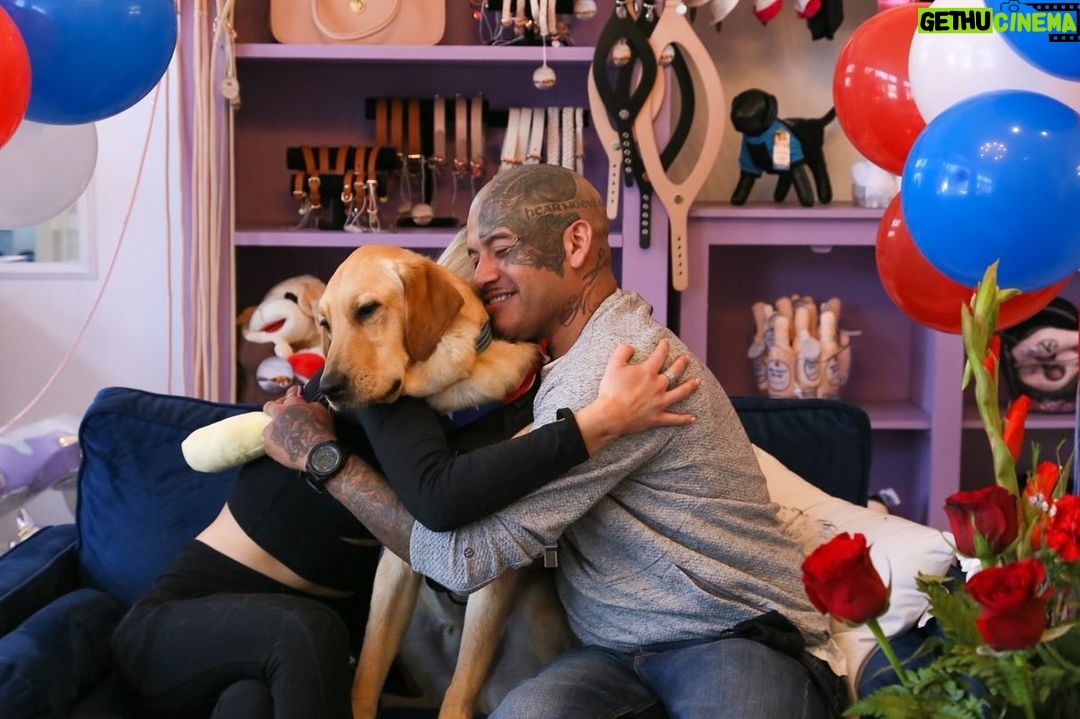 Lisa Vanderpump Instagram - I’m so honored to share that today marks the 6th Anniversary of The Vanderpump Dog Foundation’s Rescue Center on Third Street @vanderpumpdogs ! The amount of dogs that we have saved, rehabilitated and rehomed to loving families is something I will always be so proud of. Giggy was my biggest inspiration for starting our 501(c)(3) non-profit, and his legacy will live on in all of the lives we have been able to save. Thank you to our dedicated and selfless team; everyone who works and volunteers at our Rescue Center - you are the reason we’ve been able to do what we do. And thank you to everyone who has supported us and our Rescue Mission over the past six years! Without you, it wouldn’t be possible! Cheers to saving more dogs all over the world!