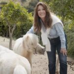 Lisa Vanderpump Instagram - When it comes to helping our fur babies @NationwidePet does it best. They offer a 24/7 vethelpline®, where their members can get advice from veterinary professionals on general to urgent pet questions anytime as part of their pet’s policy. Learn more and get a quote for your pet: www.petinsurance.com #NationwidePartner