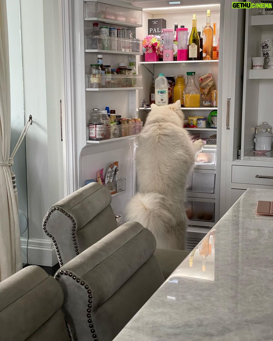 Lisa Vanderpump Instagram - What’s for lunch? Too late, I ate it! 😂 #Marky