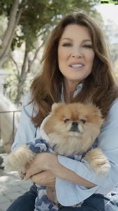 Lisa Vanderpump Instagram - I've partnered up with @nationwidepet to celebrate pet love. So tell me you're a pet owner without telling me. Use this audio to make your own version. #nationwidepartner