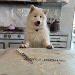 Lisa Vanderpump Instagram - What’s for lunch? Too late, I ate it! 😂 #Marky