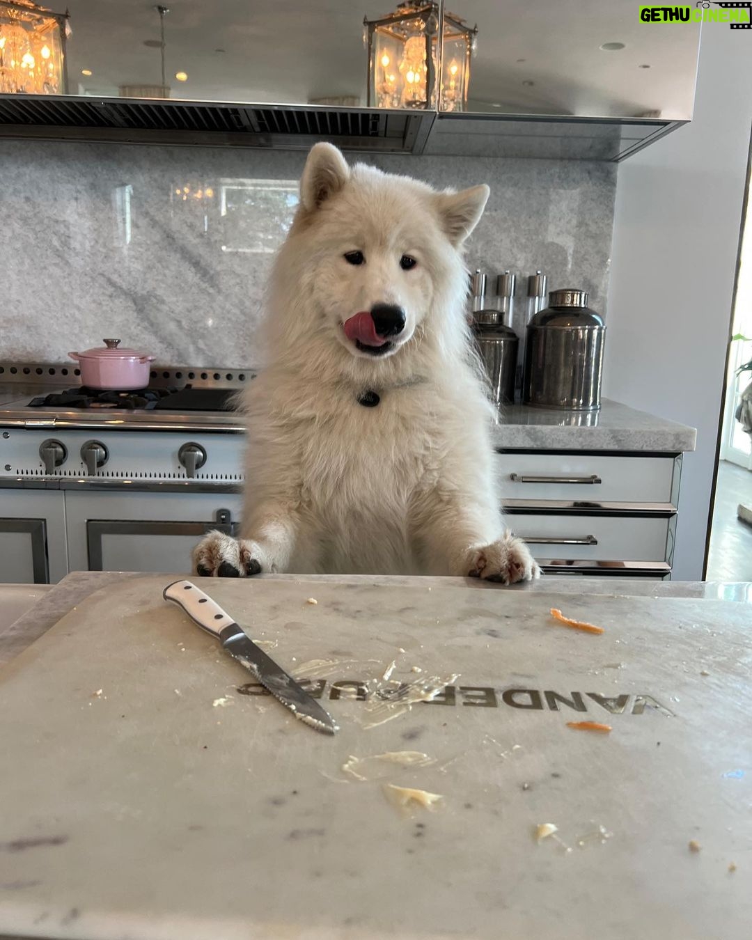 Lisa Vanderpump Instagram - What’s for lunch? Too late, I ate it! 😂 #Marky