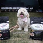 Lisa Vanderpump Instagram - Jump in, we’re going to World Dog Day! 🐾 Thank you so much to everyone who came out to support our @VanderpumpDogs 6th Annual World Dog Day this Saturday, co-sponsored by City West Hollywood (@wehocity) and presented by @nutrisourcepetfoods ! It’s been wonderful to be able to host events again to raise awareness about our fight to end global dog abuse, and to raise critical funds to end the mistreatment of dogs worldwide. Thank you to our sponsors @nutrisourcepetfoods @surrules @hillsfood @mashvet @poshpuppy @minnidip @greendogdental @pumprestaurant @tomtom @theabbeyweho - having everyone’s support means so much. I’d like to thank all of our amazing vendors, @paigeharbisonart @thepicnicstyle @justfoodfordogs @gaybors.agency @farmfreshtoyou @mybenebone @mobilityservicedogs @tiffany_dnaka_ @fujifilmx_us @healthypawsherbals @sophies_sweetcakes @wagcityclothing @sundaysfordogs @freshpatch @brutusbroth @santamonicapaws @eddievalentinfashion ! A special thank you, @drinkspindrift @drinkvina @butterypopcornco @estherbrophoenix @minnidip @shishishikevinlee & @poshpuppy for generously donating items to make our event a success! Thank you to those who donated to our Raffle as well, @minnidip @petplaysf @sophies_sweetcakes @freshpatch @dylanscandybar @fujifilmx_us @dogtv @paworiginal @mixlabrx @planopaws @chaserbrand @paigeharbisonart @wagcityclothing @airvet @sundaysfordogs @tiffany_dnaka_ @thedaftdoodleco Thank you @lancebass @michaelturchinart for MCing, @scheana @raquelleviss @dr.evanantin @jorge_bendersky for judging our doggy fashion show! And thank you to all our friends who showed up to support like @trixiemattel @tomsandoval1 @twschwa @arianamadix @musickillskate @kymwhitley @brock__davies Last but certainly not least, a very big thank you to all our volunteers (some even flew in from out of state!) who donated their time and efforts to helping make our day a huge success! We couldn’t have done it without you! To everyone else who has helped us along this journey THANK YOU! We are only able to do what we do, because of amazing people like YOU! 🐶🌎💗 (📸: @nikkiryanphotography & @edmundprieto )