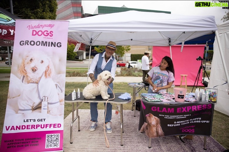 Lisa Vanderpump Instagram - Jump in, we’re going to World Dog Day! 🐾 Thank you so much to everyone who came out to support our @VanderpumpDogs 6th Annual World Dog Day this Saturday, co-sponsored by City West Hollywood (@wehocity) and presented by @nutrisourcepetfoods ! It’s been wonderful to be able to host events again to raise awareness about our fight to end global dog abuse, and to raise critical funds to end the mistreatment of dogs worldwide. Thank you to our sponsors @nutrisourcepetfoods @surrules @hillsfood @mashvet @poshpuppy @minnidip @greendogdental @pumprestaurant @tomtom @theabbeyweho - having everyone’s support means so much. I’d like to thank all of our amazing vendors, @paigeharbisonart @thepicnicstyle @justfoodfordogs @gaybors.agency @farmfreshtoyou @mybenebone @mobilityservicedogs @tiffany_dnaka_ @fujifilmx_us @healthypawsherbals @sophies_sweetcakes @wagcityclothing @sundaysfordogs @freshpatch @brutusbroth @santamonicapaws @eddievalentinfashion ! A special thank you, @drinkspindrift @drinkvina @butterypopcornco @estherbrophoenix @minnidip @shishishikevinlee & @poshpuppy for generously donating items to make our event a success! Thank you to those who donated to our Raffle as well, @minnidip @petplaysf @sophies_sweetcakes @freshpatch @dylanscandybar @fujifilmx_us @dogtv @paworiginal @mixlabrx @planopaws @chaserbrand @paigeharbisonart @wagcityclothing @airvet @sundaysfordogs @tiffany_dnaka_ @thedaftdoodleco Thank you @lancebass @michaelturchinart for MCing, @scheana @raquelleviss @dr.evanantin @jorge_bendersky for judging our doggy fashion show! And thank you to all our friends who showed up to support like @trixiemattel @tomsandoval1 @twschwa @arianamadix @musickillskate @kymwhitley @brock__davies Last but certainly not least, a very big thank you to all our volunteers (some even flew in from out of state!) who donated their time and efforts to helping make our day a huge success! We couldn’t have done it without you! To everyone else who has helped us along this journey THANK YOU! We are only able to do what we do, because of amazing people like YOU! 🐶🌎💗 (📸: @nikkiryanphotography & @edmundprieto )