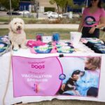 Lisa Vanderpump Instagram - Jump in, we’re going to World Dog Day! 🐾 Thank you so much to everyone who came out to support our @VanderpumpDogs 6th Annual World Dog Day this Saturday, co-sponsored by City West Hollywood (@wehocity) and presented by @nutrisourcepetfoods ! It’s been wonderful to be able to host events again to raise awareness about our fight to end global dog abuse, and to raise critical funds to end the mistreatment of dogs worldwide. Thank you to our sponsors @nutrisourcepetfoods @surrules @hillsfood @mashvet @poshpuppy @minnidip @greendogdental @pumprestaurant @tomtom @theabbeyweho - having everyone’s support means so much. I’d like to thank all of our amazing vendors, @paigeharbisonart @thepicnicstyle @justfoodfordogs @gaybors.agency @farmfreshtoyou @mybenebone @mobilityservicedogs @tiffany_dnaka_ @fujifilmx_us @healthypawsherbals @sophies_sweetcakes @wagcityclothing @sundaysfordogs @freshpatch @brutusbroth @santamonicapaws @eddievalentinfashion ! A special thank you, @drinkspindrift @drinkvina @butterypopcornco @estherbrophoenix @minnidip @shishishikevinlee & @poshpuppy for generously donating items to make our event a success! Thank you to those who donated to our Raffle as well, @minnidip @petplaysf @sophies_sweetcakes @freshpatch @dylanscandybar @fujifilmx_us @dogtv @paworiginal @mixlabrx @planopaws @chaserbrand @paigeharbisonart @wagcityclothing @airvet @sundaysfordogs @tiffany_dnaka_ @thedaftdoodleco Thank you @lancebass @michaelturchinart for MCing, @scheana @raquelleviss @dr.evanantin @jorge_bendersky for judging our doggy fashion show! And thank you to all our friends who showed up to support like @trixiemattel @tomsandoval1 @twschwa @arianamadix @musickillskate @kymwhitley @brock__davies Last but certainly not least, a very big thank you to all our volunteers (some even flew in from out of state!) who donated their time and efforts to helping make our day a huge success! We couldn’t have done it without you! To everyone else who has helped us along this journey THANK YOU! We are only able to do what we do, because of amazing people like YOU! 🐶🌎💗 (📸: @nikkiryanphotography & @edmundprieto )