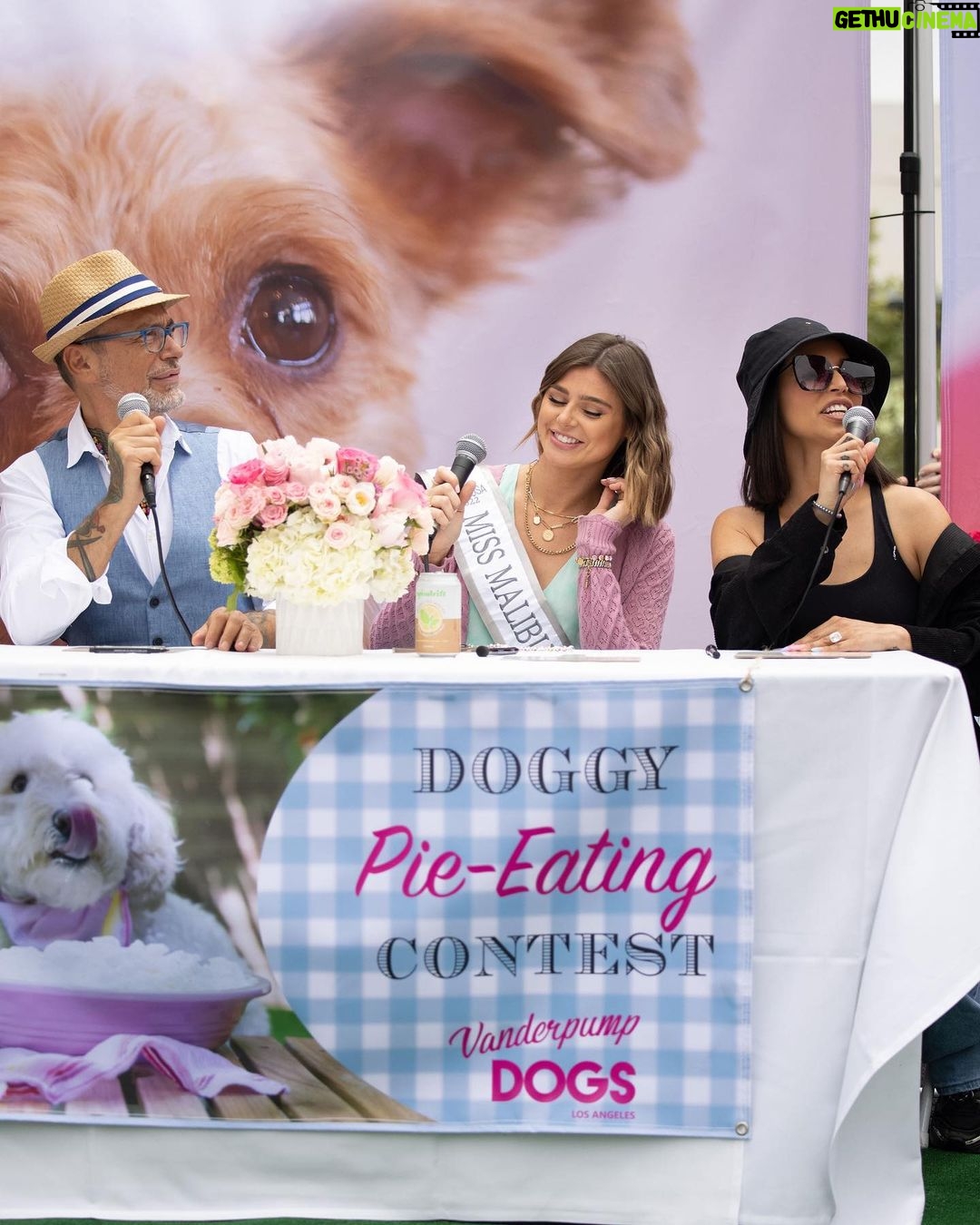 Lisa Vanderpump Instagram - Thank you so much to everyone who came out to support @vanderpumpdogs World Dog Day this year, co-sponsored by @wehocity , and presented by @nutrisourcepetfoods . It’s been a very challenging time, with so much sadness prevalent in the world right now, and it’s made us appreciate our furry friends even more. So much work goes into planning our events to raise awareness about our fight to end global dog abuse, so to have everyone’s support means so much. Thank you @lancebass @michaelturchinart for MCing, @scheana @raquelleviss @dr.evanantin @jorge_bendersky for judging our doggy fashion show! And thank you to my friend @trixiemattel for your support, and for everyone who showed up! @tomsandoval1 @twschwa @arianamadix @musickillskate @kymwhitley 📸 by @nikkiryanphotography & @edmundprieto