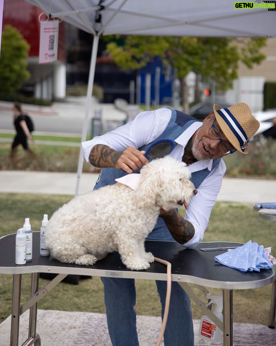 Lisa Vanderpump Instagram - Thank you so much to everyone who came out to support @vanderpumpdogs World Dog Day this year, co-sponsored by @wehocity , and presented by @nutrisourcepetfoods . It’s been a very challenging time, with so much sadness prevalent in the world right now, and it’s made us appreciate our furry friends even more. So much work goes into planning our events to raise awareness about our fight to end global dog abuse, so to have everyone’s support means so much. Thank you @lancebass @michaelturchinart for MCing, @scheana @raquelleviss @dr.evanantin @jorge_bendersky for judging our doggy fashion show! And thank you to my friend @trixiemattel for your support, and for everyone who showed up! @tomsandoval1 @twschwa @arianamadix @musickillskate @kymwhitley 📸 by @nikkiryanphotography & @edmundprieto