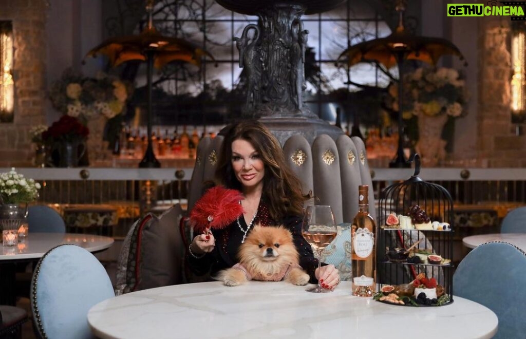 Lisa Vanderpump Instagram - Excited to announce that @VanderpumpParis is now open @ParisVegas! This restaurant has really been a labor of love, and I had such an incredible time designing everything with @nickalain. The entire restaurant is filled with unique, bespoke creations from @vanderpumpalain and stepping into our space transports you to an old courtyard in Paris. The food is decadent and beautiful (yet casual!) and the delicious cocktails were artfully created by @pandoravt… everything is Parisian inspired and we can’t wait for you to try it. Our soft opening begins today, as we are still putting on the finishing touches, and we will keep you posted on our Grand Opening! Read more at the link in bio @dailymail 😍 Paris Las Vegas Hotel & Casino