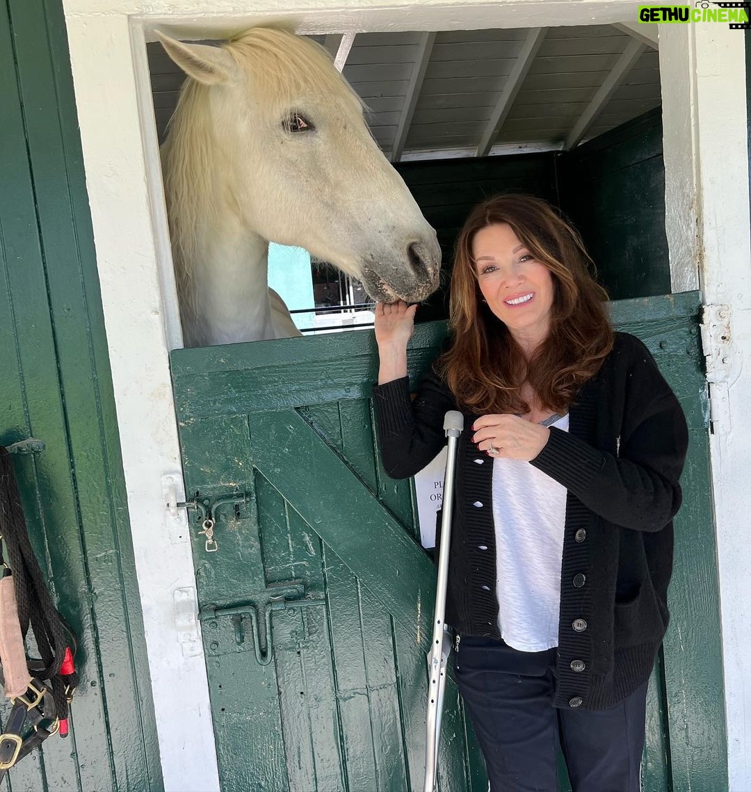 Lisa Vanderpump - 78.7K Likes - Reunited and it feels so good…
