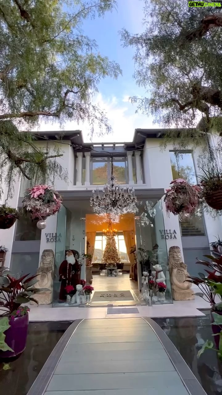 Lisa Vanderpump - 136.6K Likes - Merry Christmas everybody! 💕🎄 @Vanderpumpwines