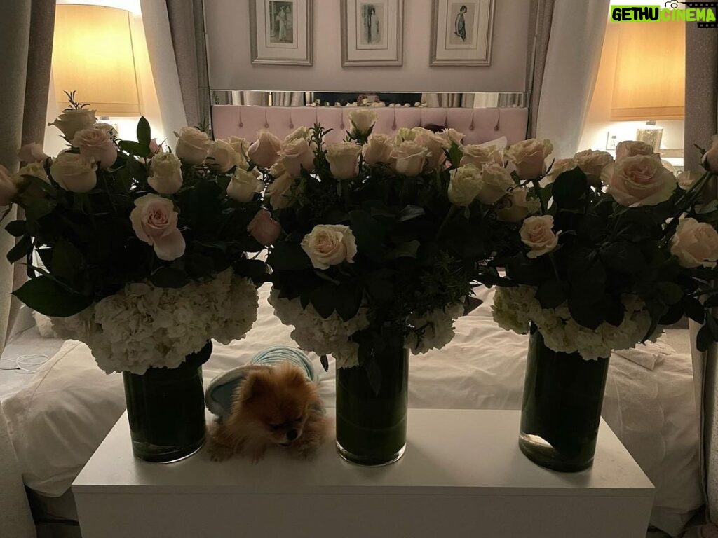 Lisa Vanderpump Instagram - Thank you for all the well wishes and beautiful flowers, I am doing much better after surgery! 4 fractures in my leg and a badly bruised back, but I am on the road to recovery! I will be back in the saddle of life soon!