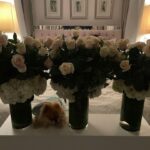 Lisa Vanderpump Instagram - Thank you for all the well wishes and beautiful flowers, I am doing much better after surgery! 4 fractures in my leg and a badly bruised back, but I am on the road to recovery! I will be back in the saddle of life soon!