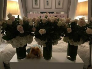 Lisa Vanderpump Instagram - Thank you for all the well wishes and beautiful flowers, I am doing much better after surgery! 4 fractures in my leg and a badly bruised back, but I am on the road to recovery! I will be back in the saddle of life soon!