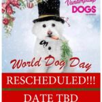 Lisa Vanderpump Instagram - It is with heavy hearts that we announce that our World Dog Day event scheduled for December 02 is CANCELLED. Due to the recent news of a severe upper respiratory virus affecting dogs, with potentially fatal consequences across the US, we have decided to postpone our annual Festival. As a Foundation that focuses on the wellbeing of dogs everywhere, and out of an abundance of caution, we want to ensure all necessary precautions are taken to safeguard our four-legged friends. Their health and wellness is paramount to our mission and to our lives. We sincerely hope you can join us on our rescheduled date (tentatively May 11th 2024!) as World Dog Day is one of our major fundraising and awareness events of the year and a beautiful day to celebrate dogs. For now, please make sure to keep your dogs as safe as possible and get them vaccinated! Your understanding and support means the world to us, and we hope to see you at World Dog Day in the Spring!