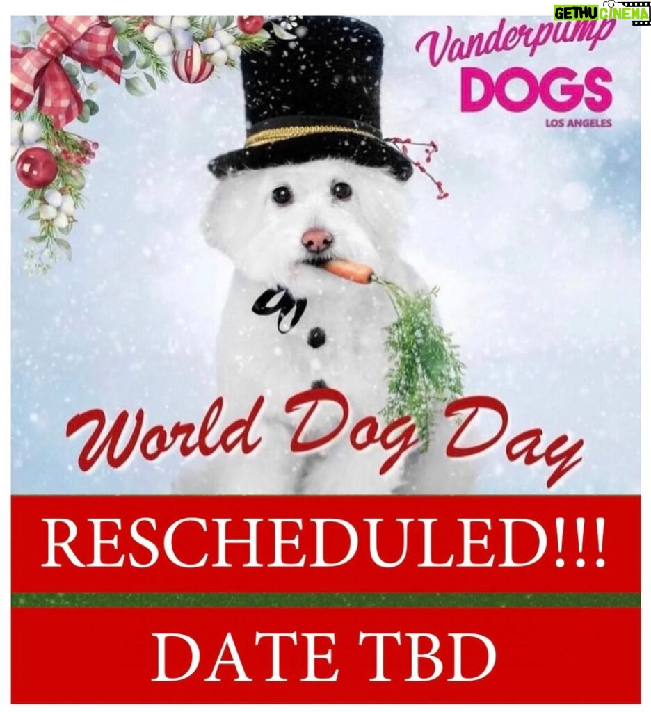 Lisa Vanderpump Instagram - It is with heavy hearts that we announce that our World Dog Day event scheduled for December 02 is CANCELLED. Due to the recent news of a severe upper respiratory virus affecting dogs, with potentially fatal consequences across the US, we have decided to postpone our annual Festival. As a Foundation that focuses on the wellbeing of dogs everywhere, and out of an abundance of caution, we want to ensure all necessary precautions are taken to safeguard our four-legged friends. Their health and wellness is paramount to our mission and to our lives. We sincerely hope you can join us on our rescheduled date (tentatively May 11th 2024!) as World Dog Day is one of our major fundraising and awareness events of the year and a beautiful day to celebrate dogs. For now, please make sure to keep your dogs as safe as possible and get them vaccinated! Your understanding and support means the world to us, and we hope to see you at World Dog Day in the Spring!