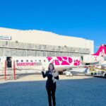 Lisa Vanderpump Instagram - Have you seen our logo in the sky yet? Thanks to our friends at @flyjsx for helping us spread awareness for dog rescue with every flight! 🐶💕✈️ JSX is supporting and donating to our 501(c)(3) non-profit Rescue Foundation, helping us spread the word, as well as helping our mission to rescue, rehabilitate and rehome dogs worldwide ! Thank you so much, @flyjsx for helping support our rescue mission!