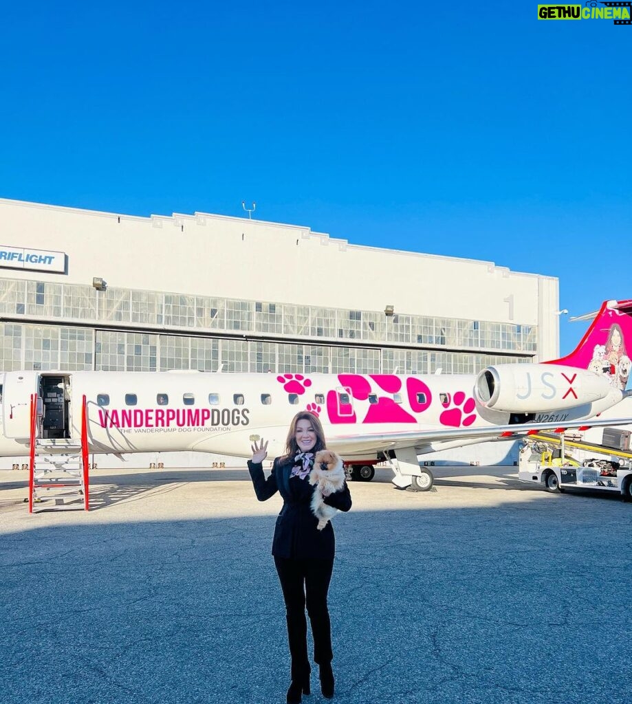 Lisa Vanderpump Instagram - Have you seen our logo in the sky yet? Thanks to our friends at @flyjsx for helping us spread awareness for dog rescue with every flight! 🐶💕✈ JSX is supporting and donating to our 501(c)(3) non-profit Rescue Foundation, helping us spread the word, as well as helping our mission to rescue, rehabilitate and rehome dogs worldwide ! Thank you so much, @flyjsx for helping support our rescue mission!