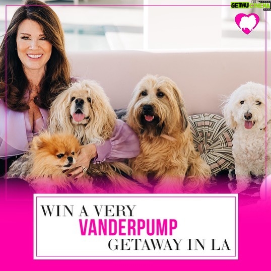 Lisa Vanderpump Instagram - COME MEET ME IN LA! 🐶 we are flying someone to LA for AN EPIC WEEKEND with a @prizeo giveaway to benefit @vanderpumpdogs !!! Could it be you? Tag who you’d bring as your +1 in the comments⬇️ and enter to win at VanderpumpVIP.com This Very Vanderpump Getaway includes: ✨2 VIP tickets to World Dog Day on Dec 2 ✨Roundtrip airfare & fabulous hotel stay for 2 nights ✨Happy hour with me and Ken at TomTom ✨Dinner for 2 at TomTom and SUR ✨Puppy playdate at the Vanderpump Dogs Rescue Center Enter now! See you there!!!