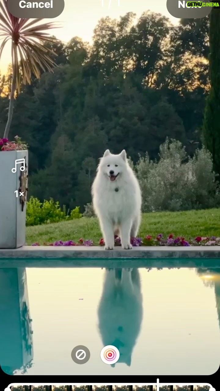 Lisa Vanderpump Instagram - The man of the house #villarosa
