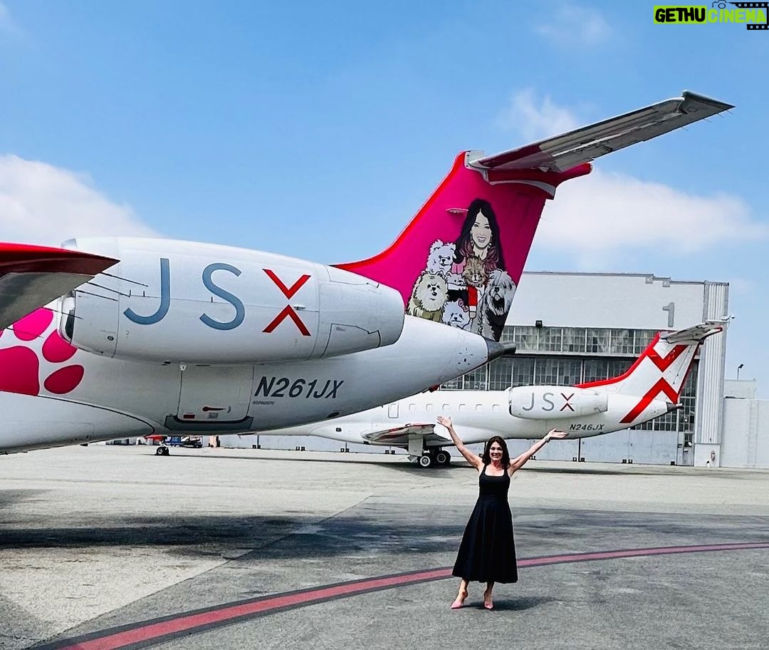 Lisa Vanderpump - 74.6K Likes - Thank you so much @flyjsx for always being so generous to our @vanderpumpdogs Foundation and for this epic collaboration! The launch of your new plane, sporting our logo, helping to raise awareness for dog rescue, as well as donating to the Foundation for every dog that flies on JSX, is something I am thrilled to announce! Visit VeryVanderpump.com/woofwoof for more info on their donation! Thank you JSX!!!