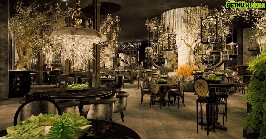 Lisa Vanderpump Instagram - A sneak peek at the renderings of Wolf, with stunning bespoke designs by @VanderpumpAlain ! Opening this Winter, Wolf by Vanderpump will feature unique lighting, gorgeous furniture, and epic visual statements. The food will be decadent, the cocktails both earthy and Instagrammable, and the entire experience is something we are eager to be bringing to Lake Tahoe.