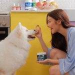 Liza Soberano Instagram - 🐾 Join Liza 'Hope' Soberano & Dr. Shiba on a transformative journey of paw parenthood with the #DearYuna Project. 💕 Discover how the love between fur mom Hope and her Samoyed, Yuna, inspires a healthier, happier world for pets. From heartwarming moments to a commitment to animal welfare, this collaboration celebrates the joy pets bring into our lives and the impact of thoughtful care - brought to you by yours truly #DrShiba. 🌟 #DearYuna #LizaxDrShiba #lizasoberano #bydrshiba #dogsph #dogtreatsph #healthydogtreats #pethealth #PawParenthood #AnimalWelfare #LoveTransforms