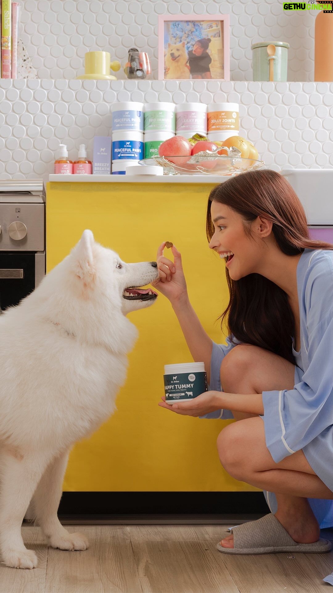 Liza Soberano Instagram - πΎ Join Liza 'Hope' Soberano & Dr. Shiba on a transformative journey of paw parenthood with the #DearYuna Project. π Discover how the love between fur mom Hope and her Samoyed, Yuna, inspires a healthier, happier world for pets. From heartwarming moments to a commitment to animal welfare, this collaboration celebrates the joy pets bring into our lives and the impact of thoughtful care - brought to you by yours truly #DrShiba. π #DearYuna #LizaxDrShiba #lizasoberano #bydrshiba #dogsph #dogtreatsph #healthydogtreats #pethealth #PawParenthood #AnimalWelfare #LoveTransforms