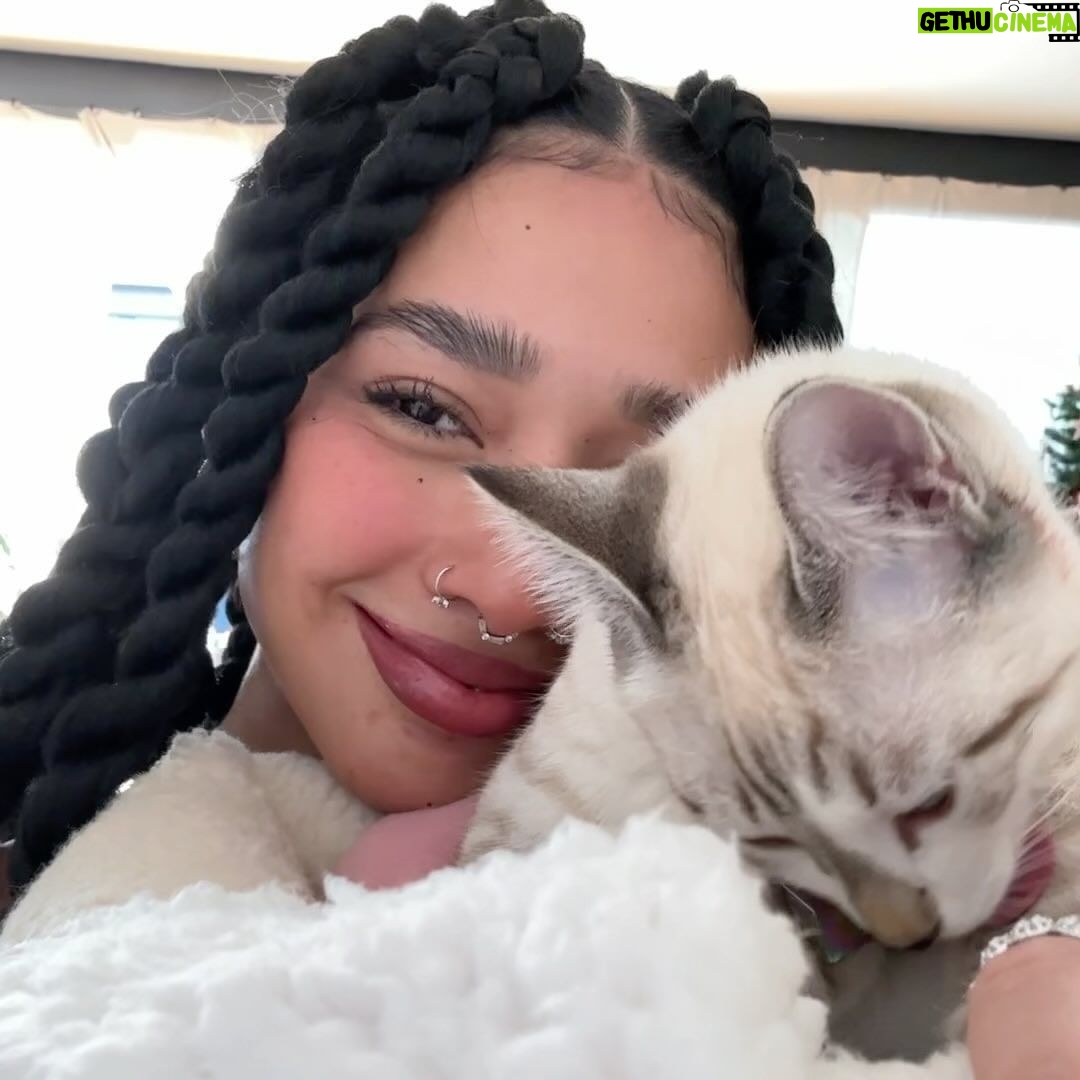 Lizeth Selene Instagram - trenzitas, gatito y perritos :) En Un Lugar Donde Solo Existe La Felicidad