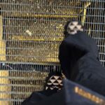 Lizeth Selene Instagram - ꧁✰pequeños fragmentos de un gran viaje ☆ﾟ.* Milano, Italia