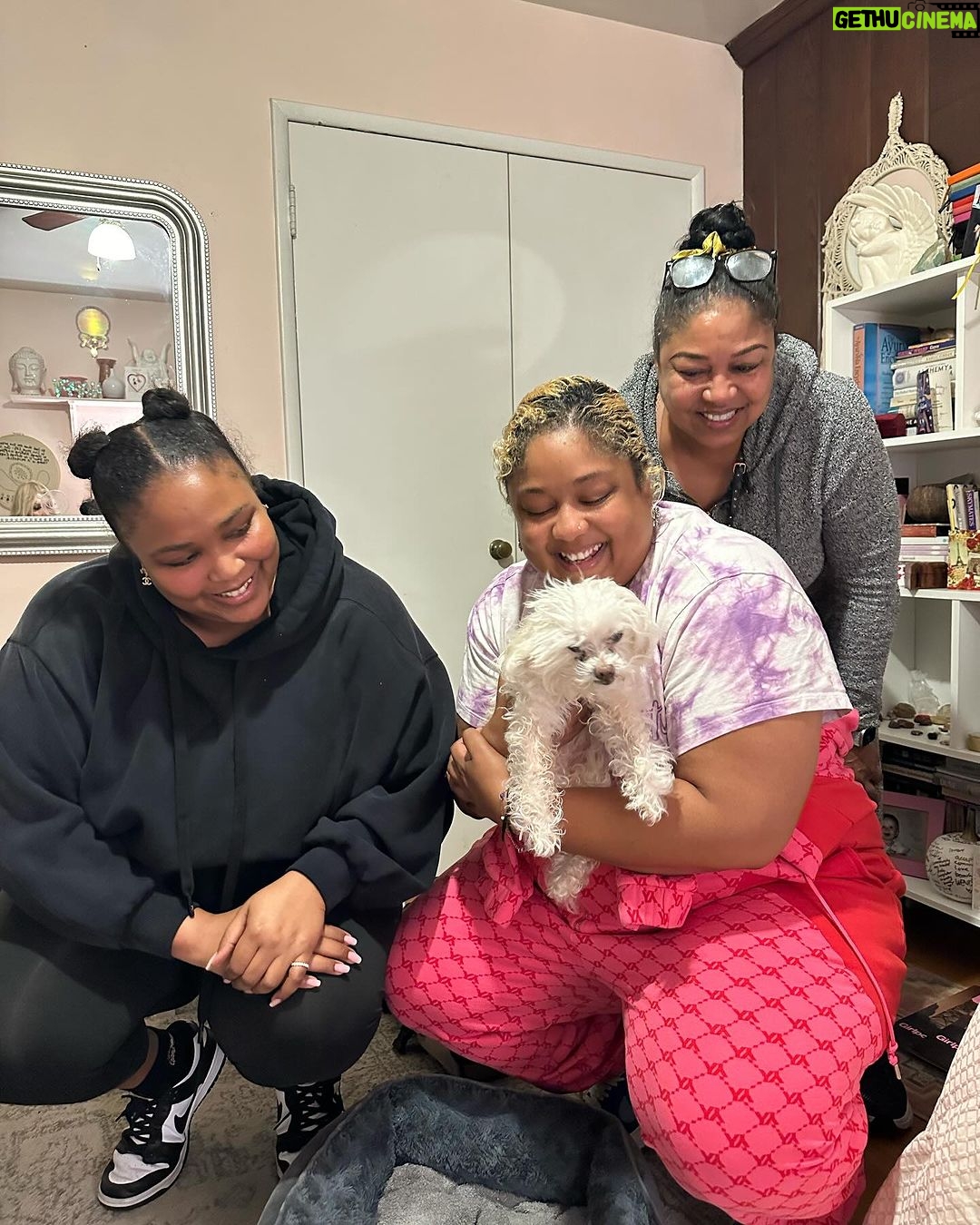 Lizzo Instagram - I’m not ok im so heartbroken rip Pooka